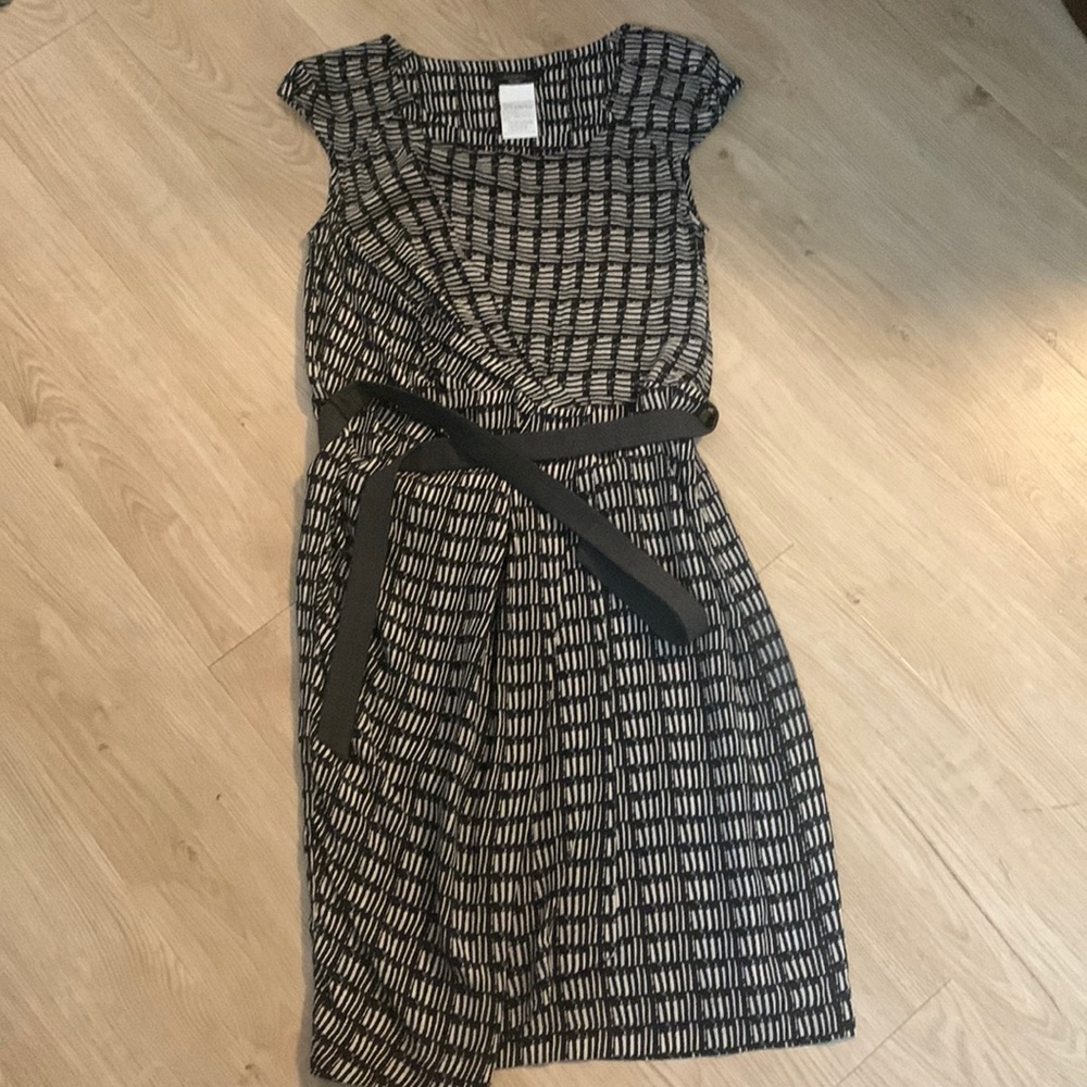 MaxMara Silk Dress with belt